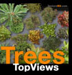 Trees Top Views Bird Eye - Arbres Vues en Plan - de dessus - texture