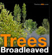 Trees Broadleaved - Arbres Feuillus - texture