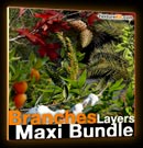 Banch - Layers - Maxi - Bundle - Branches - textures