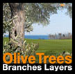 Olive branches layers Olivier