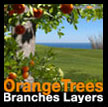 Orange branches layers Oranger