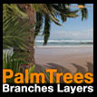 Palm trees branches layers Palmier
