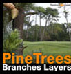 Pine Tree branches layers Pin