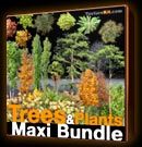 Trees Plants Maxi Bundle - Arbres Collections - texture